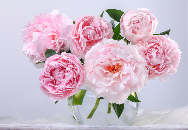 Hermosas peonías rosadas
 - Foto, Imagen