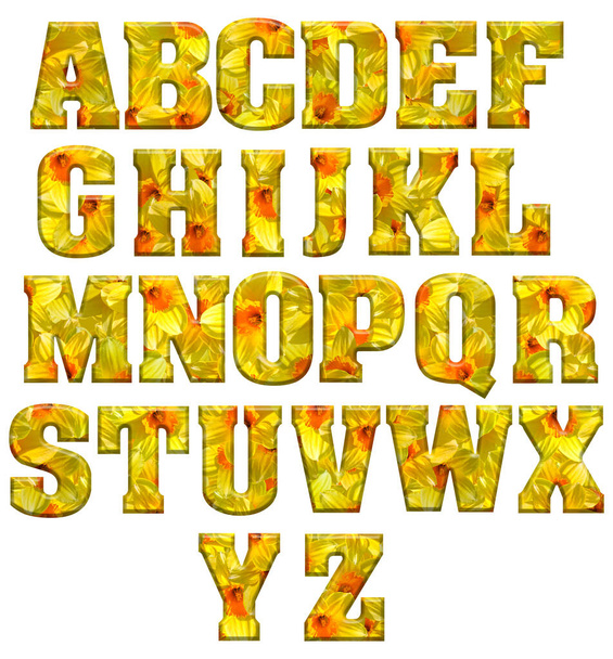 Alphabet, Buchstaben aus einem Foto von Narzissen. Isoliert. - Foto, Bild