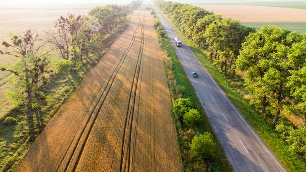 Antenni näkymä lento yli valtatie, vehnä kenttä ja vihreitä puita auringonlaskun aikaan - Valokuva, kuva