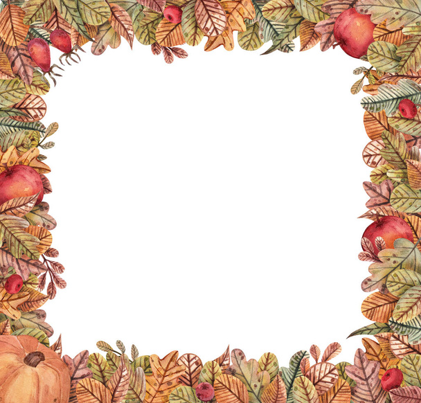 Hand-drawn watercolor frame from autumn leaves of different colors and shapes. Square border of apples, pumpkins, oak leaves, mountain ash, berries and branches for the design of postcards, invitation - 写真・画像