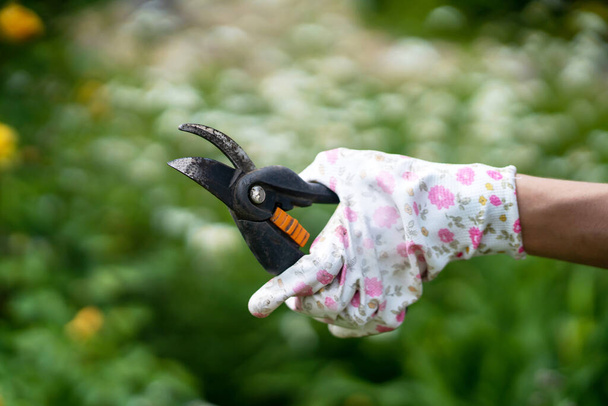 A female hand in gloves with a floral pattern holds a pruner - Photo, Image