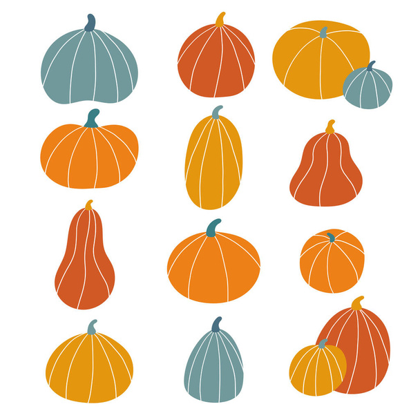 Set of hand drawn pumpkins. Doodle vegetables for Halloween and Thanksgiving celebration. Autumn vector illustration. - Вектор,изображение