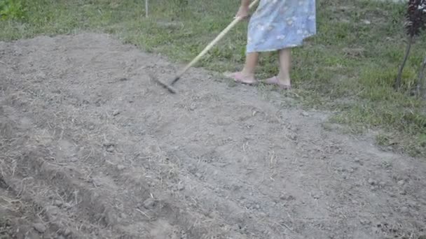 Een vrouw harkt het gras en maakt de grond glad. - Video