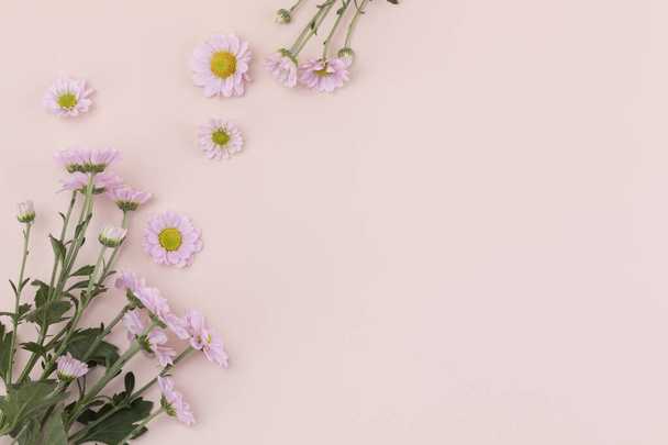 pink chrysanthemum flower frame - Fotó, kép
