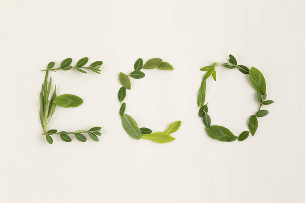 ECO text with flowers, plants, leaves - Zdjęcie, obraz