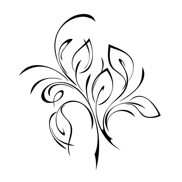 stylized twig with leaves and curls in black lines on a white background - Διάνυσμα, εικόνα