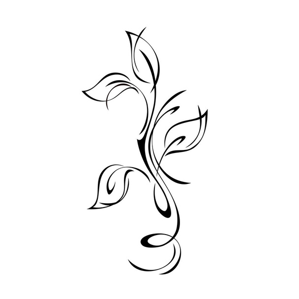 stylized twig with leaves and curls in black lines on a white background - Vettoriali, immagini