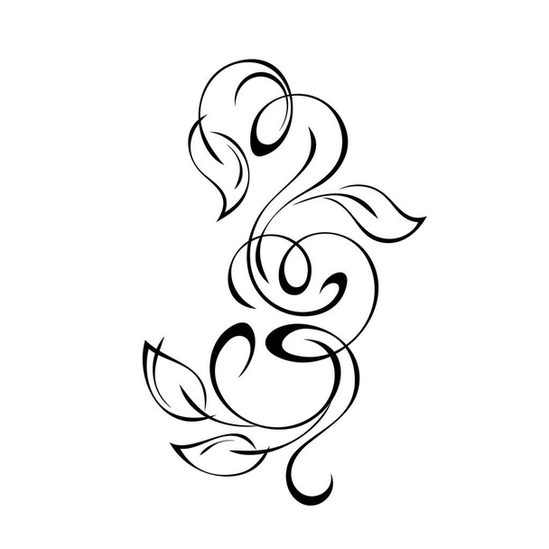 unique decorative element with stylized leaves and curls in black lines on a white background - Vektor, Bild