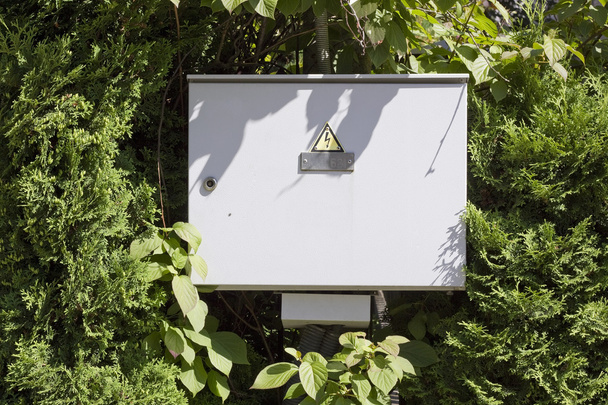 Электрический ящик в лесу
 - Фото, изображение