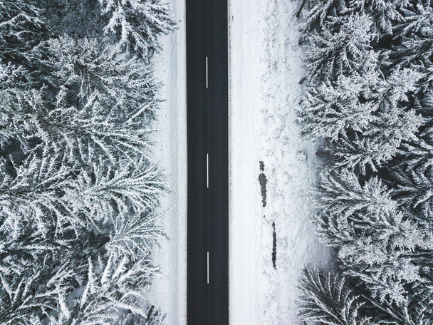 Длинная прямая дорога проходит через туманный зимний лес. - Фото, изображение
