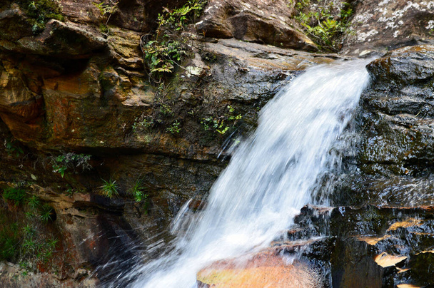 A cascade near Centennial Glen at Blackheath in the Blue Mountains of Australia - Zdjęcie, obraz
