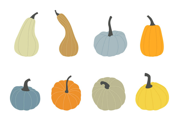 Hand drawn trendy pumpkins various shapes and colors. Harvest thanksgiving or halloween design elements for poster, card. Set of fall vegetables. Flat Vector illustation isolated on white background - Вектор,изображение