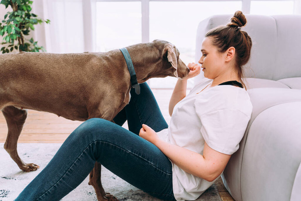 lifestyle moments of a young woman at home. Woman playing with her dog in the living room - Photo, image