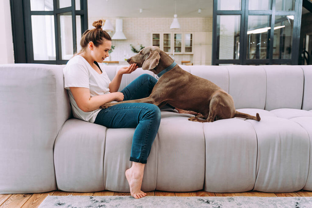 lifestyle moments of a young woman at home. Woman playing with her dog in the living room - Фото, изображение