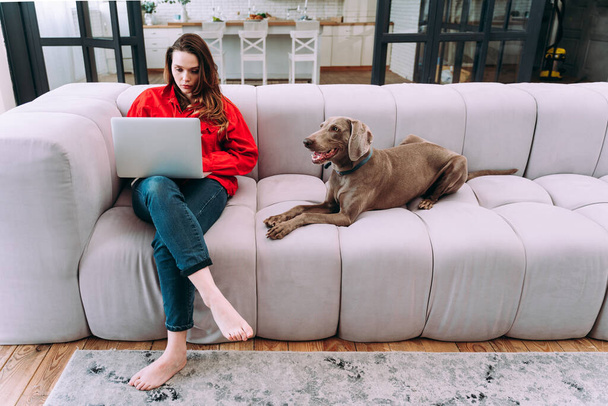 életstílus pillanatok egy fiatal nő otthon. Egy nő játszik a kutyájával a nappaliban és számítógéppel dolgozik. - Fotó, kép