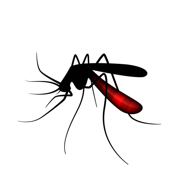 κουνούπι σιλουέτα, αίμα πιπίλισμα κουνούπια που απομονώνονται σε λευκό, εικόνα κουνούπι για τέχνη κλιπ - Διάνυσμα, εικόνα