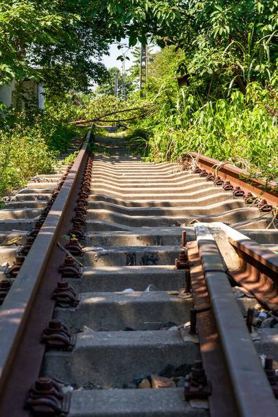 Lähikuva vanhasta ruosteisesta rautatiestä kaksiraiteiset kiskot ja niitit luonnossa - Valokuva, kuva