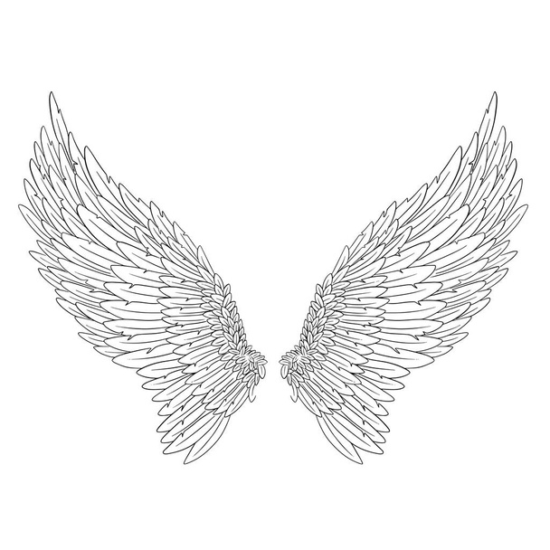 Φτερά Αγγέλου Εικονογράφηση διάνυσμα - Διάνυσμα, εικόνα