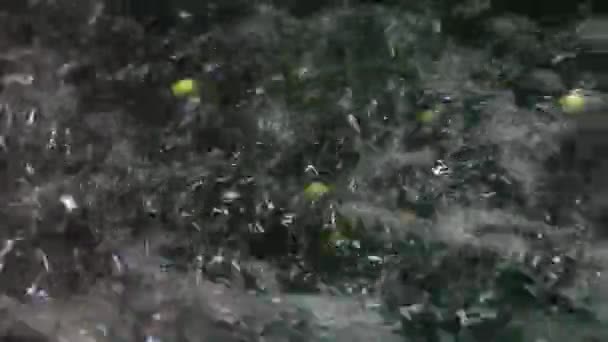 Zeytin yağı çıkarma sırasında değirmen - Video, Çekim