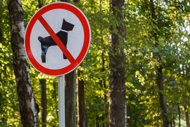 no se permiten perros signo en poste en el bosque verde del parque de verano - primer plano con enfoque selectivo y fondo borroso bokeh - Foto, Imagen