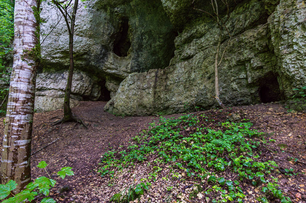 Bittelschiesser Vadisi 'nde bir sürü mağara ve Sigmaringen yakınlarındaki Laucherttal' daki tarihi Hornstein şatosu kalıntılarıyla yürüyüş yapmak. - Fotoğraf, Görsel