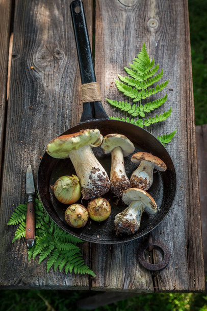 Wild boletus and onion on the pan. Noble mushrooms on pan. Rustic kitchen. - Foto, afbeelding