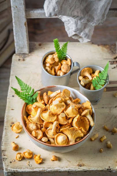 Raw chanterelles straight from forest. Wild and fresh mushrooms. Rustic kitchen. - Photo, Image
