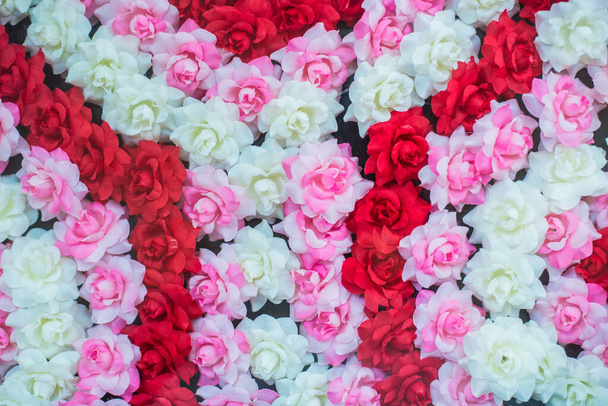 Fleurs Plumeria colorées, concept de fond de fleurs - Photo, image