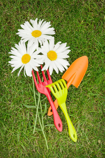 Цветы и садовые инструменты
 - Фото, изображение