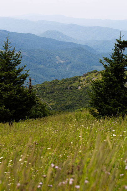 Vue depuis la montagne Whitetop dans les Appalaches en Virginie - Photo, image