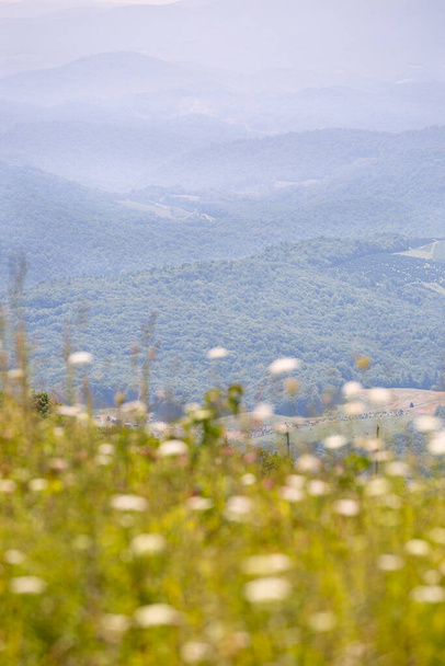Uitzicht op bergen met wilde bloemen in de Appalachian Mountains in Virginia - Foto, afbeelding