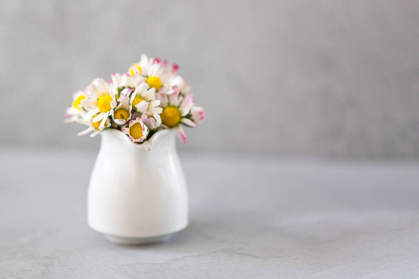 Daisy flowers in a vase on gray background with copy space. minimalist style. Spring holidays concept. Banner. Soft focus - Photo, image