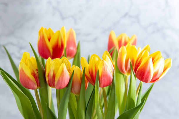 Bouquet with yellow red tulips against a grey marbled background - Fotografie, Obrázek