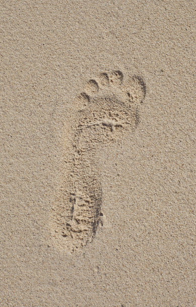 pegadas na areia - Foto, Imagem