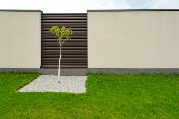Tree in a square area of stones on the green grass, in the background of a brown and gray concrete fence. - Photo, Image