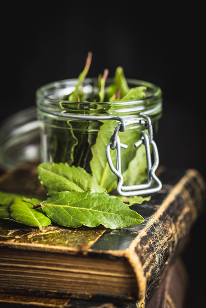 fresh green basil leaves in a glass jar on a wooden background. selective focus. - Photo, image