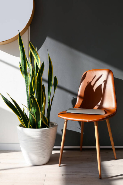 Stylish chair with laptop and houseplant near grey wall - Fotó, kép