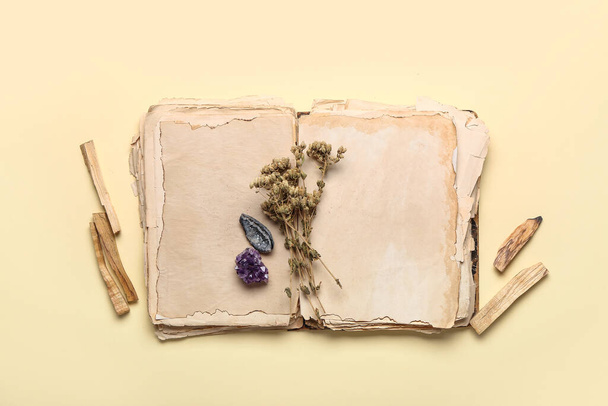 Régi könyv, Palo Santo, száraz gyógynövények és drágakövek színes háttér - Fotó, kép