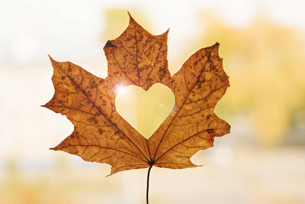 jesienny liść klonu z sercem w środku, jesienne tło, skład - Zdjęcie, obraz