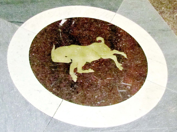  Biblioteca del Congreso de Washington Signo del zodíaco Capricornio 2013
 - Foto, Imagen