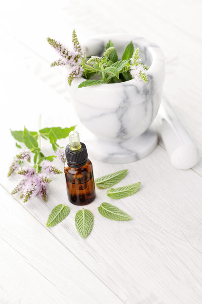 Essential oil and mint - Photo, Image