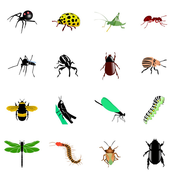 rovarok gyűjteménye - Vektor, kép
