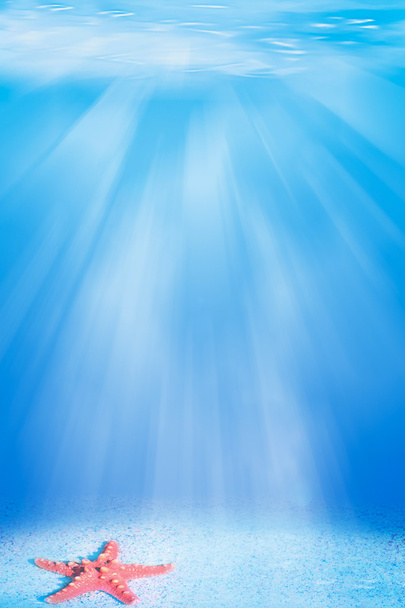 Punainen meritähti veden alla
 - Valokuva, kuva