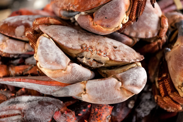 hoto of pile of frozen black crabs  - Photo, Image