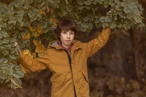 Portrait of a boy in autumn nature in casual clothes. Vintage stylization. Toning. - Photo, image