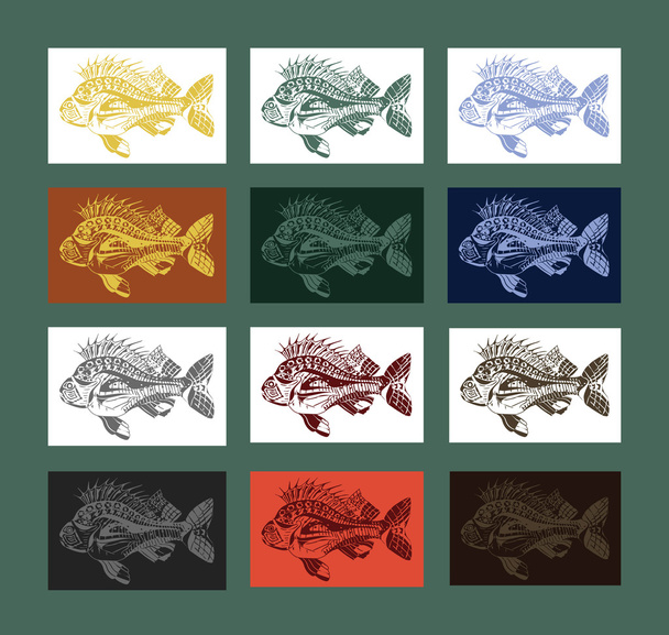 Karpfen Fisch Sammlung farbig - Vektor, Bild