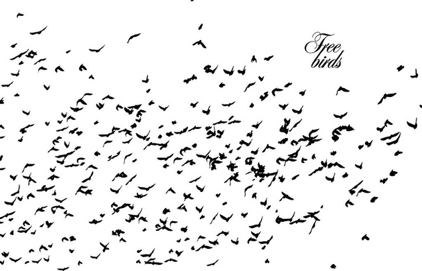 Stado latających ptaków. Wielkie stado latających wron. Ilustracja wektora - Wektor, obraz