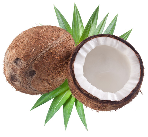 High-quality photos of coconuts on a white background. - Foto, Imagen