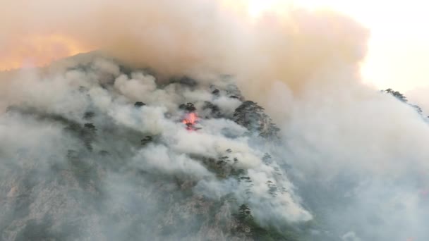 Vadon élő tűz a Piva-tó melletti hegyi erdőben Montenegróban 2021 augusztusában - Felvétel, videó