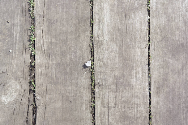 old wooden background with peeling paint - Photo, image
